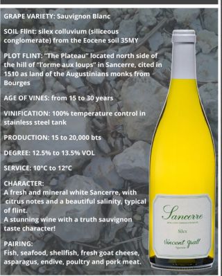 Sancerre Blanc, Vincent Grall jen u nás v obchodě . Svěží až křupavý , jako zelená jablíčka